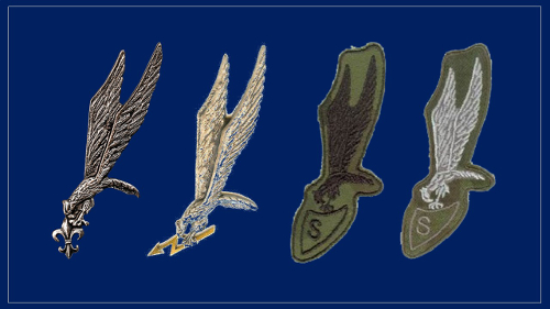 Odznaki spadochronowe w Polsce metalowe oraz haftowane