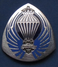 Odznaka spadochronowa SSSO